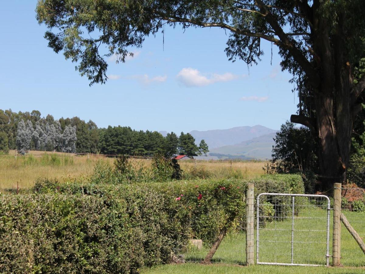 Cicada Self Catering Cottage Underberg Extérieur photo